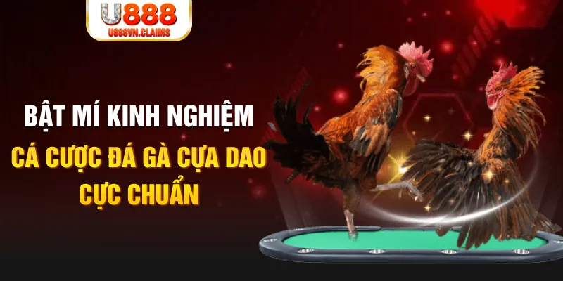 w88 ax đá gà trực tiếp 67