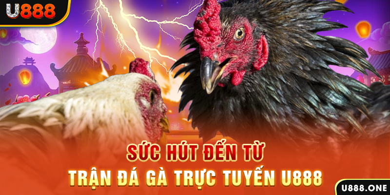 w88 ax da ga 67