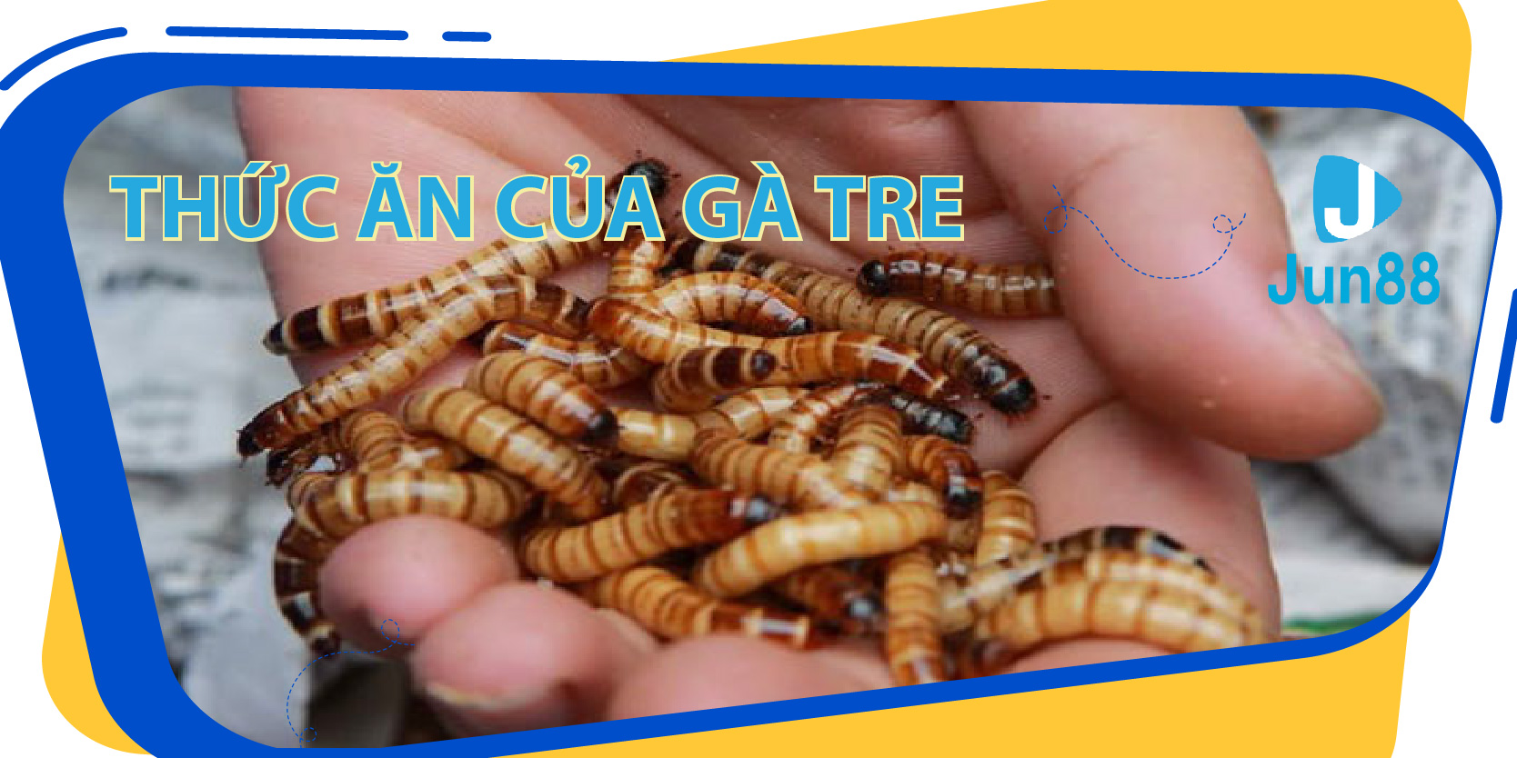w88 ax đăng nhập mậu binh đổi thưởng