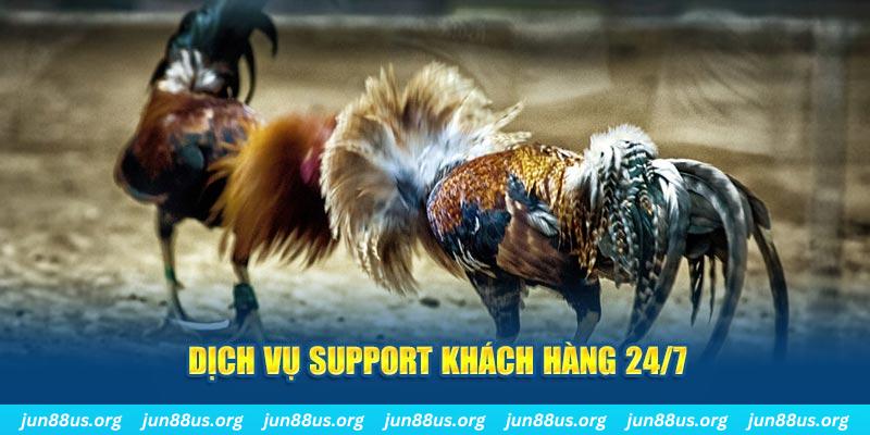 w88 ax Tung Đồng Xu
