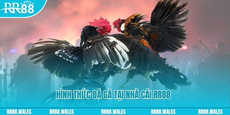 w88 ax tai game danh bai online tren may tinh