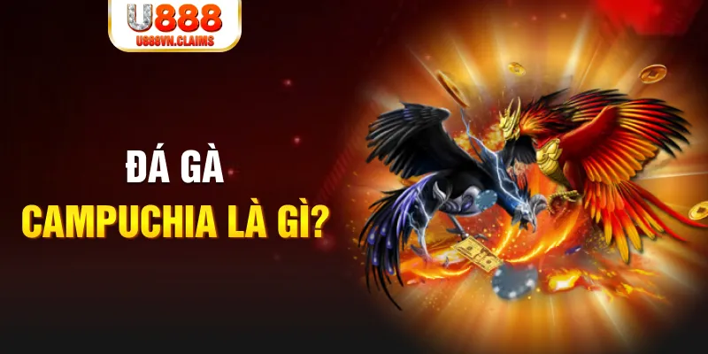 w88 ax xổ số minh ngọc
