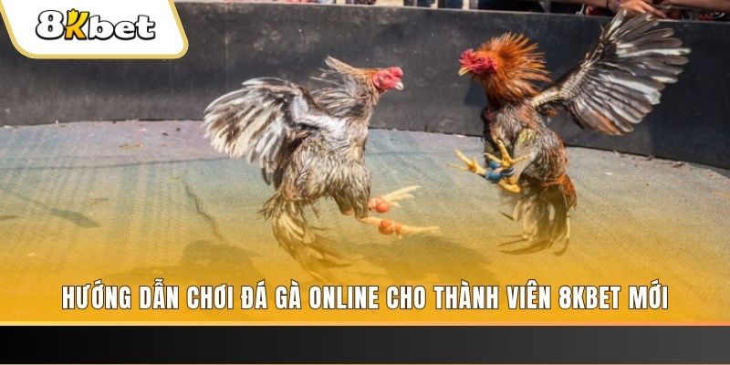 w88 ax bản tự kiểm điểm cá nhân