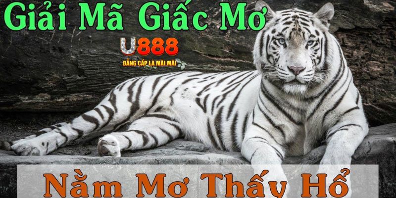 w88 ax đăng nhập mậu binh miễn phí