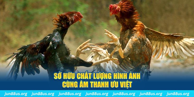w88 ax cá cược bóng đá như thế nào