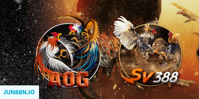 w88 ax 789bet có bao nhiêu sảnh game bài 3d ？
