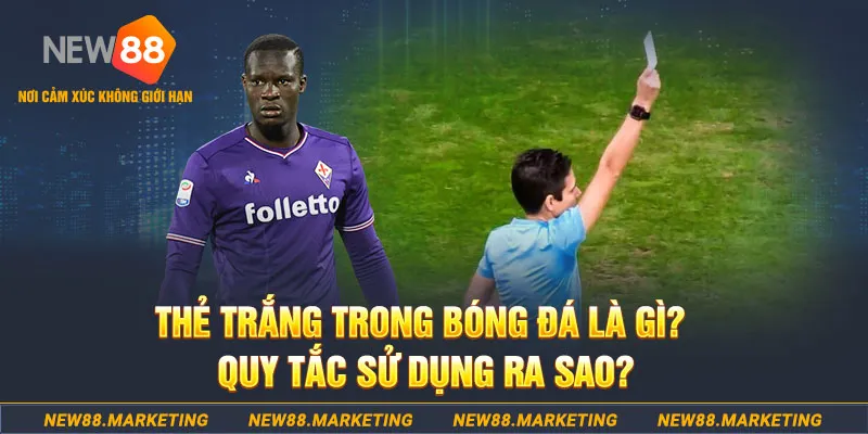 w88 ax chọi gà
