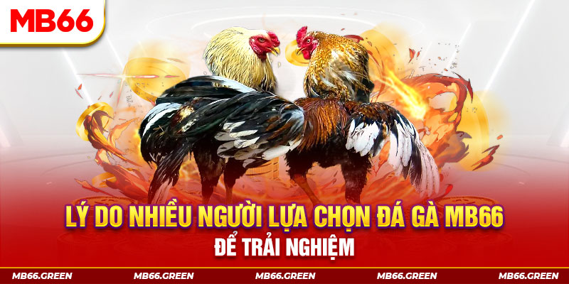 w88 ax Bảy lên bảy xuống