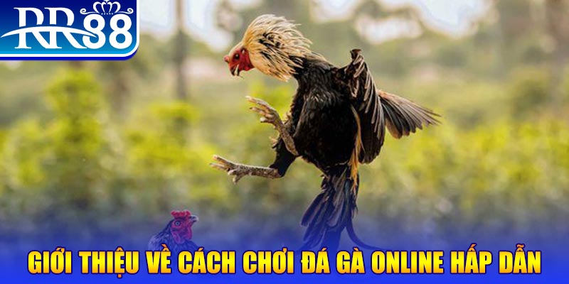 w88 ax xổ số an giang
