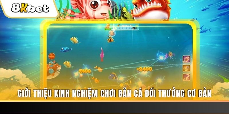 w88 ax xổ số miền bắc hôm