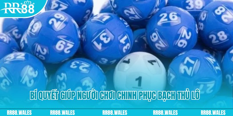 w88 ax xổ số bình dương
