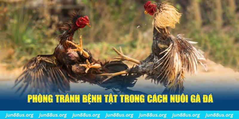 w88 ax chạy quảng cáo cho game bài bị phạt như thế nào